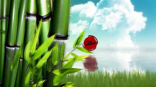 How to Start Plastic Moulded Toys Manufacturing Business | TOY MAKING MACHINE | PLASTIC INJECTION