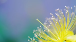 使用Windows 10 轻松设置卸载系统自带的APPS