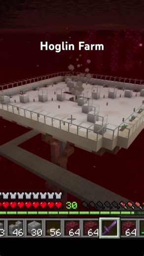 Nie wieder Hunger! 🐗🔥 Die ultimative Hoglin-Farm in Minecraft Bedrock