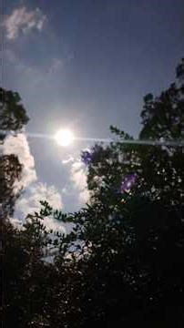 Soil Solarization: Why, When and How! #garden #plantproducts #gardendelight #growyourownfood #shorts