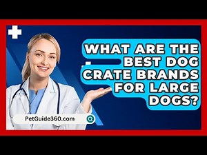 What Are The Best Dog Crate Brands For Large Dogs? - PetGuide360.com