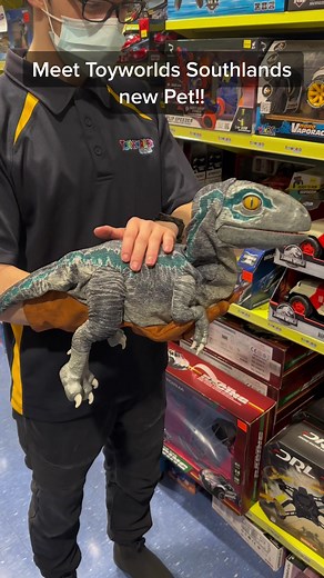 Meet Baby Blue: Toyworlds Southland's New Animatronic Dinosaur Pet!