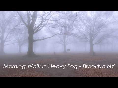 Neighborhood Streets of BROOKLYN NY during Heavy Fog | South Brooklyn NYC Walking Journey in 4K