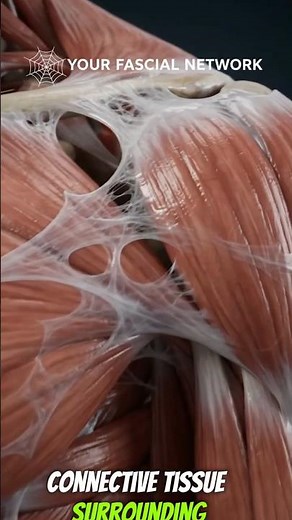What Is Fascia & How Does It Affect Movement? 🕸️ | 3D Medical Animation