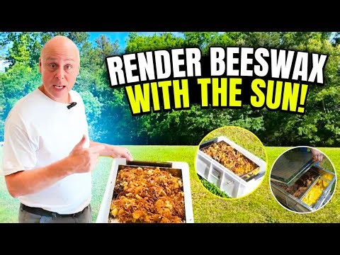 Solar Wax Melter: The Eco-Friendly Way To Render Beeswax