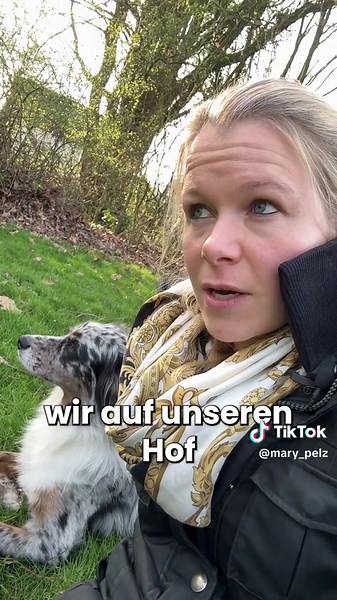 Es kann so schnell gehen… #hundetrainer #dog #hund