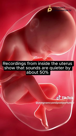 By 18 weeks it might sound 📣like THIS as your baby hears their first sounds… Did you read your baby in womb a particular book or have a special song you sang to them? 🎵📖😍 Share with a pregnant mama 💞 #pregnancy #pregnant #babyinwomb #fetus #fetaldevelopment #ultrasound #preggo #preggers
