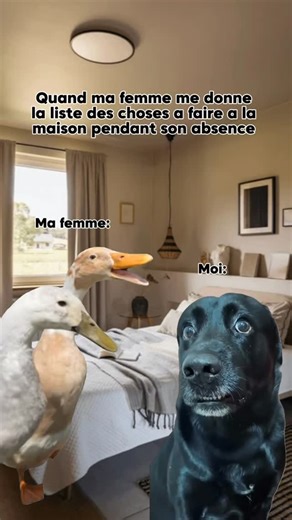 I Make You Smile on Instagram: "C’est plus une liste là c’est un dictionnaire ! #fyp #humor #pourtoi #memecut #wife"