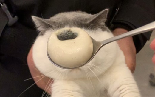 我就说咋越吃越眼熟呢