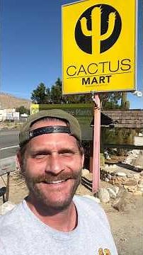 🌵 Cactus Mart | Hidden Gem Between Los Angeles & Joshua Tree You NEED to Visit!