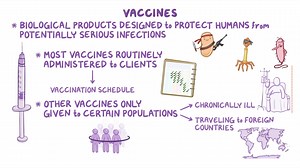 Video: Immunizing Agents - Video Explanation! | Osmosis | Osmosis