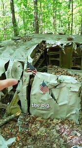 482K views · 8.3K reactions | We Found a Crashed Plane Deep In the Forest | Exploring with Josh | Facebook