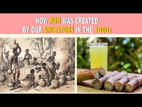 HOW RUM WAS CREATED BY OUR ANCESTORS IN THE 1600S