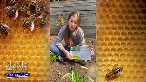 Lester Holt has a preview of this week's episode of Nightly News: Kids Edition from our new studio! Stay tuned for the new episode, and catch up on #NightlyKids here: http://NBCNews.com/NightlyKids | NBC Nightly News with Tom Llamas