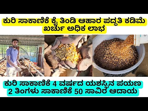 ಕುರಿ ಸಾಕಾಣಿಕೆ ಕೈ ತಿಂಡಿ ಆಹಾರ ಪದ್ಧತಿ ತುಂಬಾ ಮುಖ್ಯ | 4 ವರ್ಷದ ಯಶಸ್ಸಿನ ಪಯಣ | sheep farming | kuri sakanike