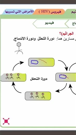 تكاثر الفيروسات
