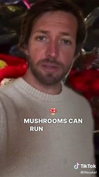 Discover the Healing Powers of Mushrooms in Fantastic Fungi Documentary