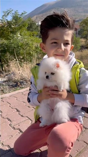 little dog is following the child 😱👻♥️#shorst