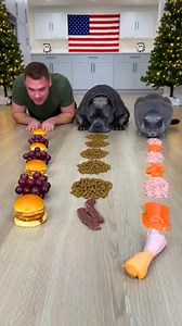 He didn’t break the rules… he just quietly stepped over them like nobody was watching 🤣😂 | Goofy Bites