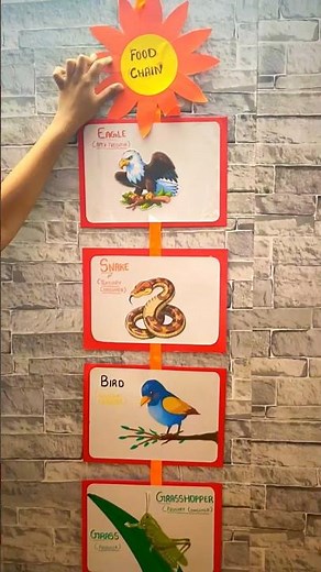 Food Chain Working Model for School Project | Easy Science Model DIY