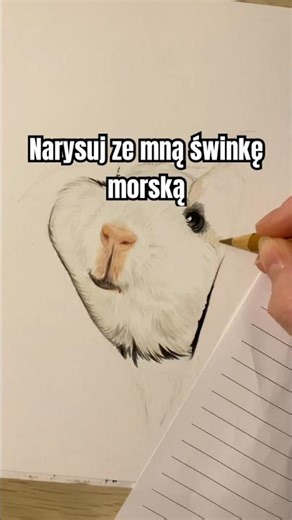 Rysunek świnki morskiej #blackpink #fypシ #dlaciebie #explore #rysunek #drawing #rysowanie #tutorial