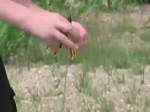 Watch Estes 810 220 Swift Flying Model Rocket Kit on Amazon Live