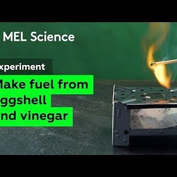 How to make fuel from eggshell and vinegar (experiment for survivals)