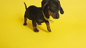 42K views · 1.1K reactions | What better way to celebrate the...