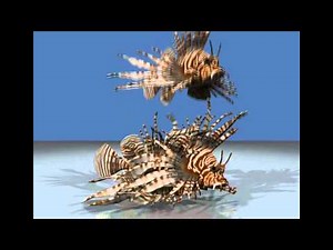 Solid Simulation with Oriented Particles