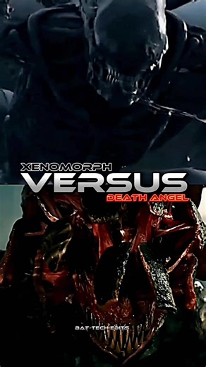 Xenomorph vs Death Angel: Epic Showdown