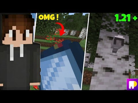 Security Mod / Addons For Minecraft 1.21 + Pe 🔒