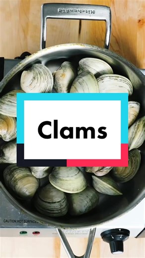 Mastering the Art of Cleaning and Preparing Clams
