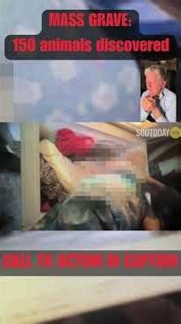 Volunteers discover 150 dead animals, mass graveyard