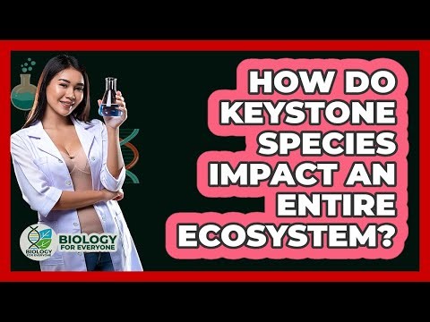 How Do Keystone Species Impact An Entire Ecosystem? - Biology For Everyone