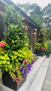 4.3K views · 2.2K reactions | So in love with these… Tropical...