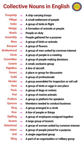 Master Collective Nouns in English #English #vocabulary | Super English Grammar