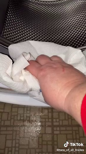 Effective Ways to Remove Mold from Washing Machine