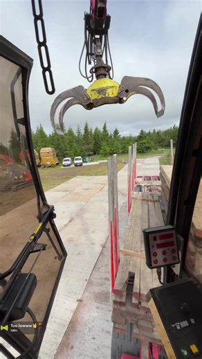 Understanding Timber Haulage in Scotland