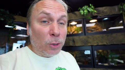 When a Massive Snake Steals the Show at a Baseball Game