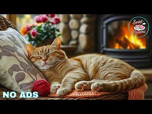 12 Hours Cat Calming Music 🌌 Relaxing Music For Cats - Fireplace Crackling For Cats Warm Nights