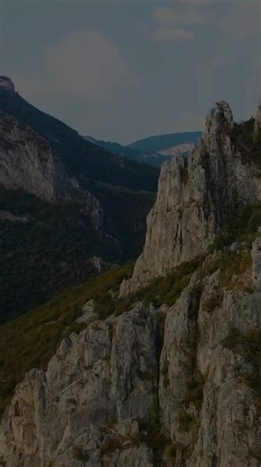 63K views · 6.1K reactions | Best Hadees About Life | Hadees Nabvi ﷺ | Islamic Motivation #islamicshorts #hadeesnabvi #trending | Md Musa Quran O Hadees | Facebook