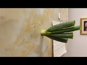 Wall Vegetables