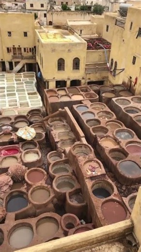Witnessing Traditional Leather Tanning, Fez, Morocco from Nikolas A. 🇲🇦