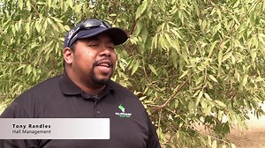 Datatech Software - What Customers Say