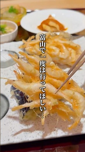 富山で白えび&氷見うどん#富山グルメ