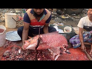 big viket fish cutting #fishcutting #expert #fishcooking #cuttingskills