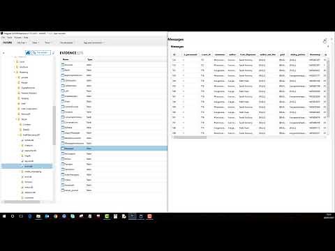 Magnet AXIOM Database Viewer