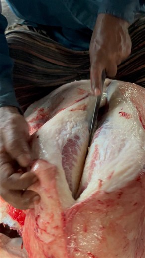 Cow's ribs fat slicing skills #meatcuttingtechniques #meatslicing #youtubeshorts