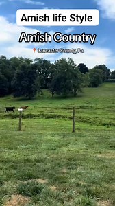 Lancaster County is one of a kind ❤️ #amish #amishcountry #amishlife #amishtiktok #amishtok #amishparadise #lancaster #lancstercounty #lancasterpa | Amish Lifestyle