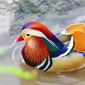 So beautiful | Amazing World